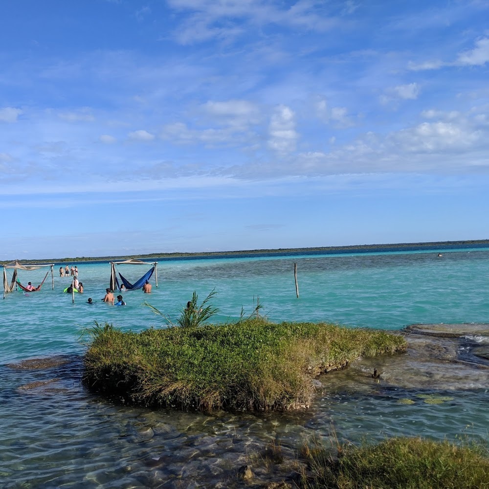 Meet your Posher, Bruno